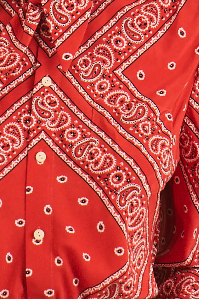 The Frances Top has a button front, long sleeves, button cuffs and a scarf collar detail.