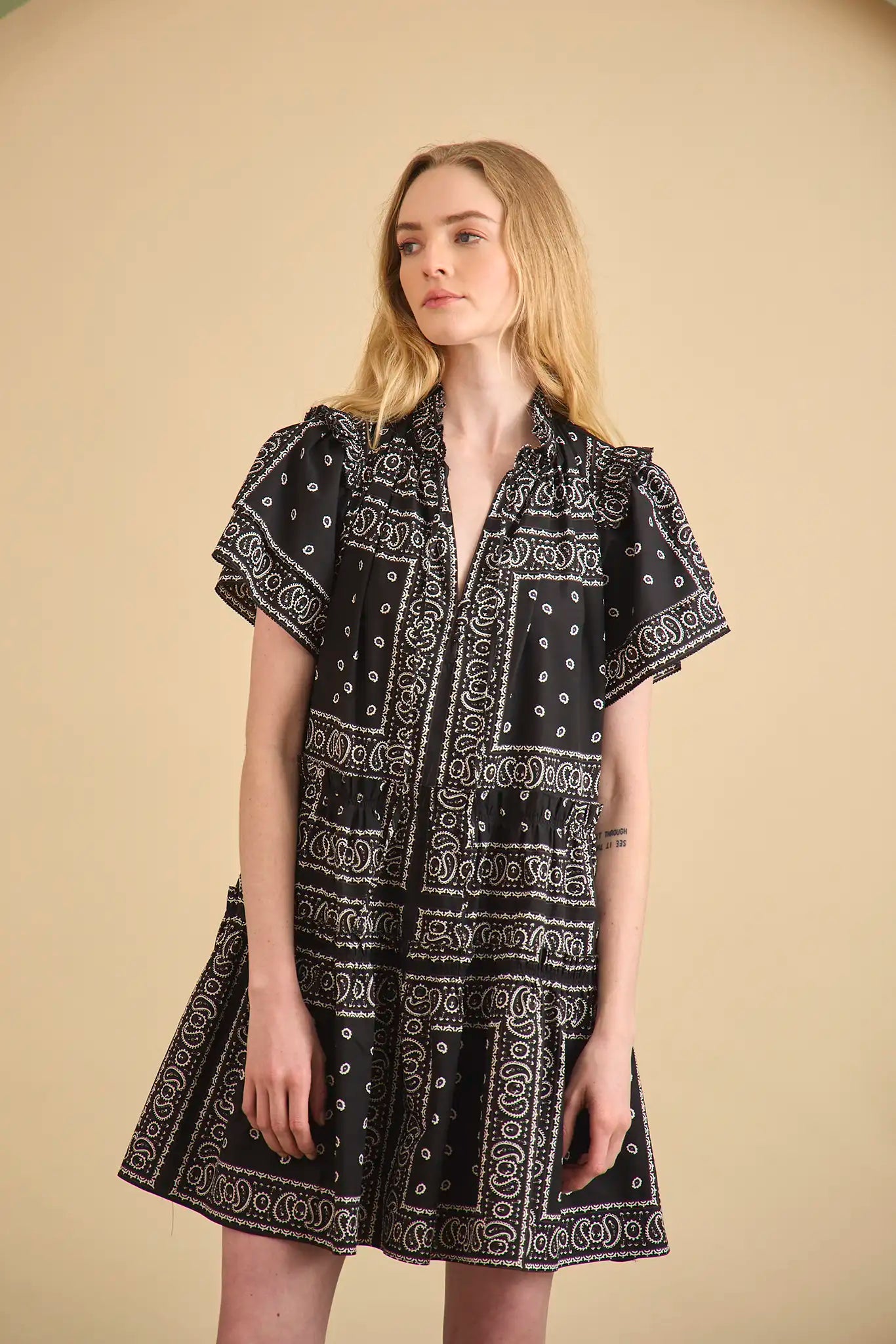 The Merritt Dress has a swing silhouette, ruffle detailing along the V-neck, and a tiered bodice.