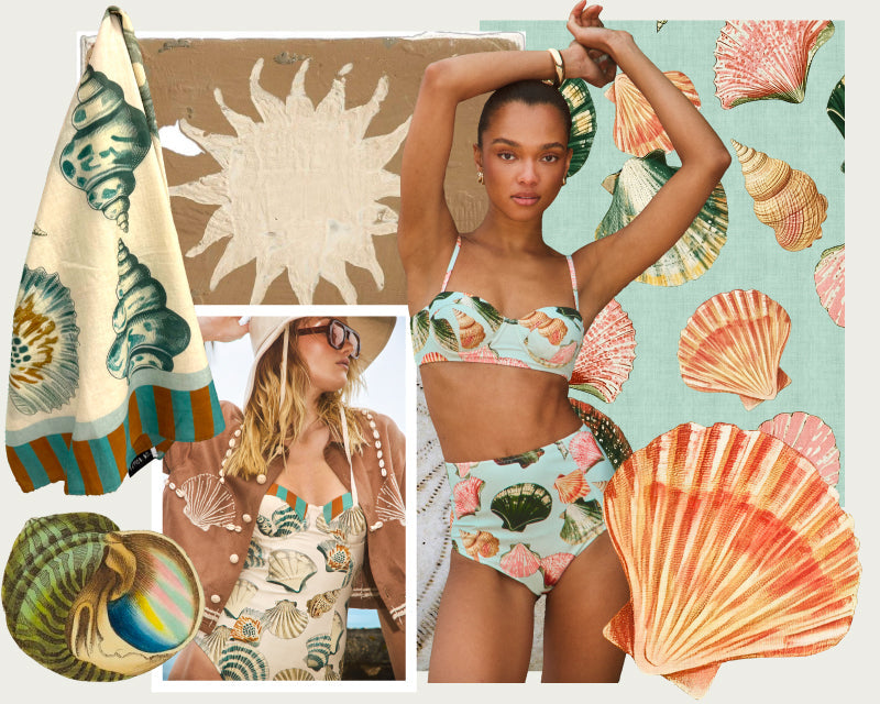 Shell and Tell...