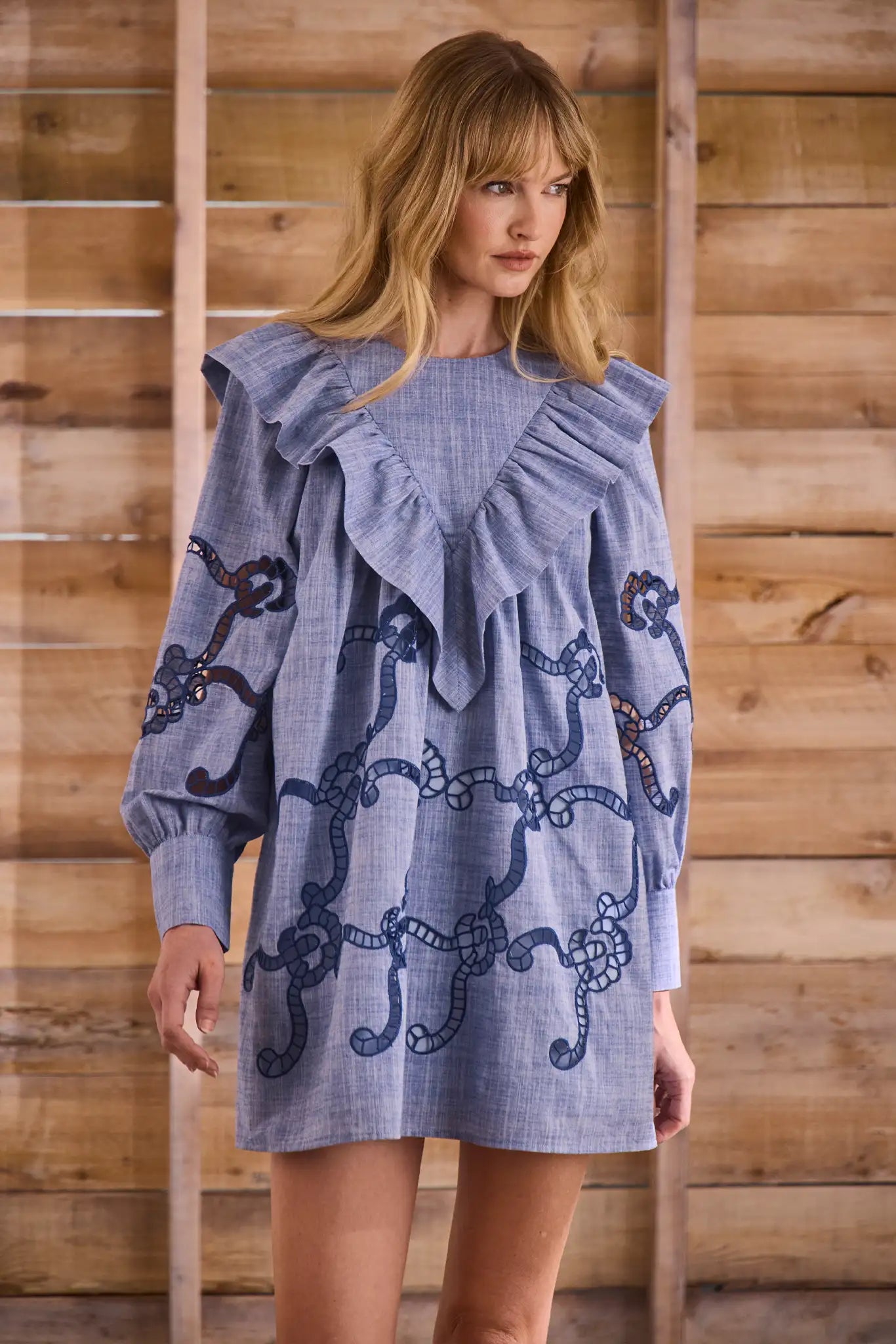 Blue cut-out embroidered linen, crew neckline, softly ruffled yoke, long sleeves with button cuffs