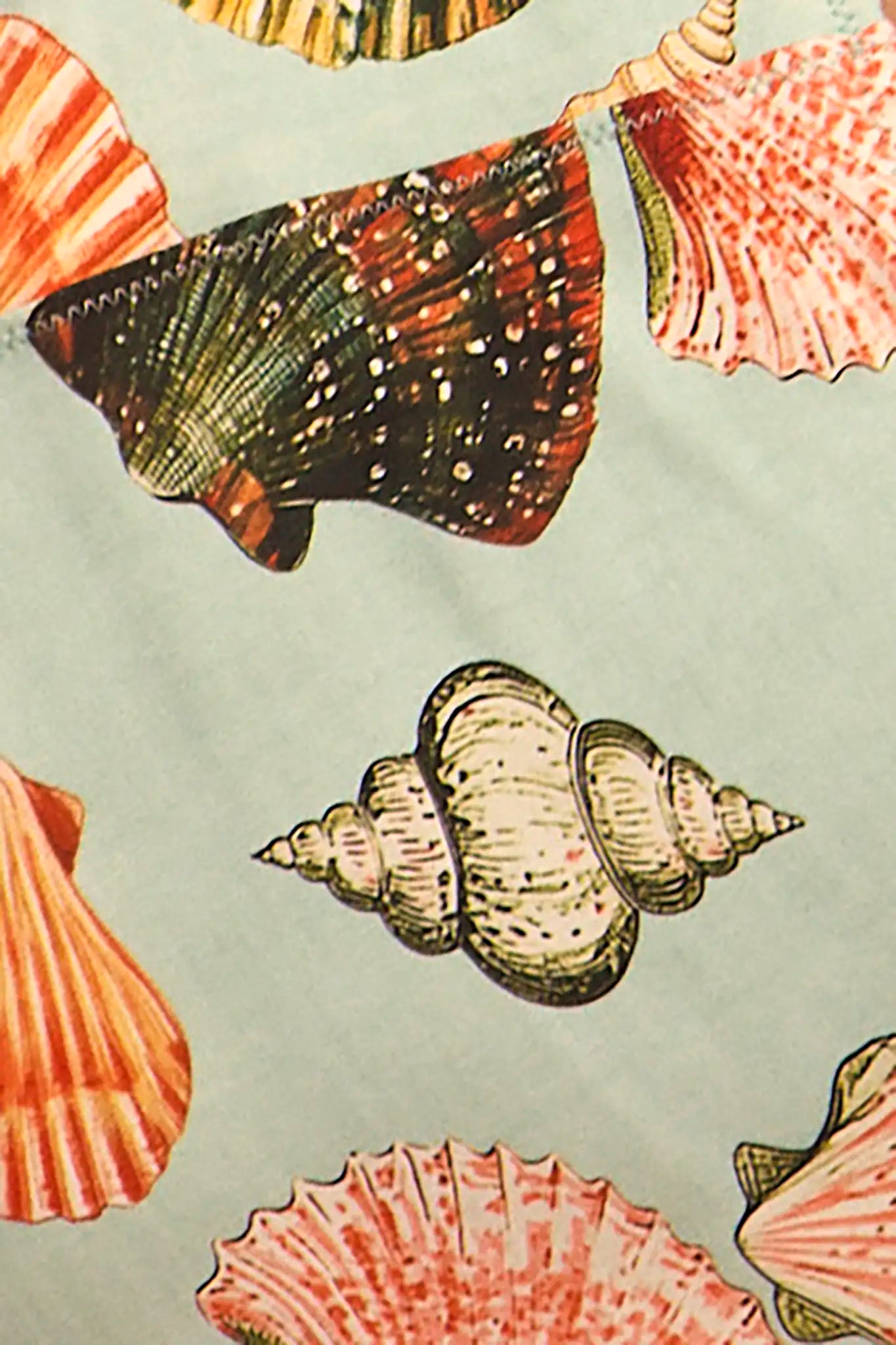 Close up of the bermuda bikini top in somers shell mint.