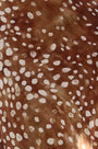 Close up of the Suki Skirt in Dappled Doe. 