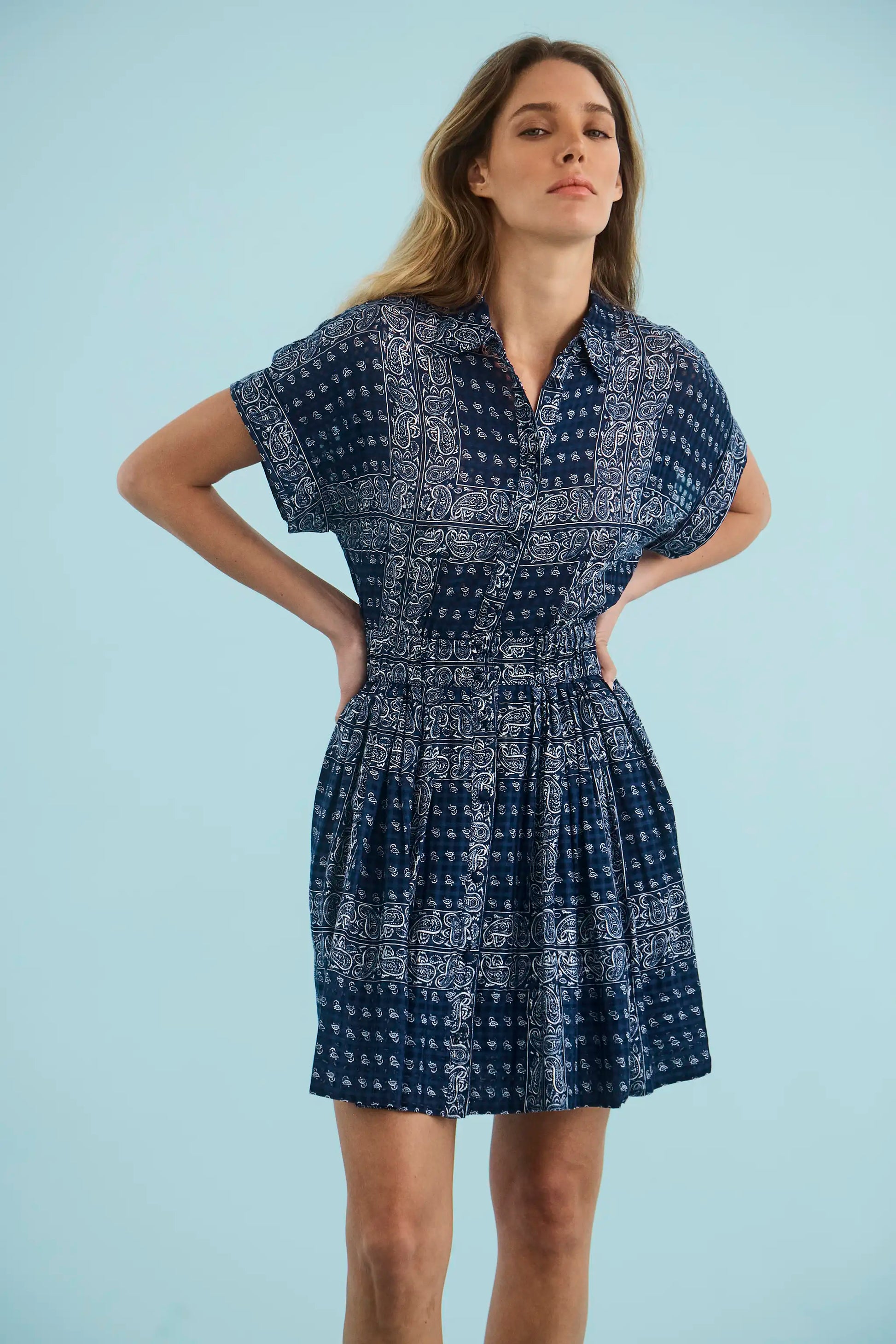 The Howard Dress in Inkwell Paisley.
