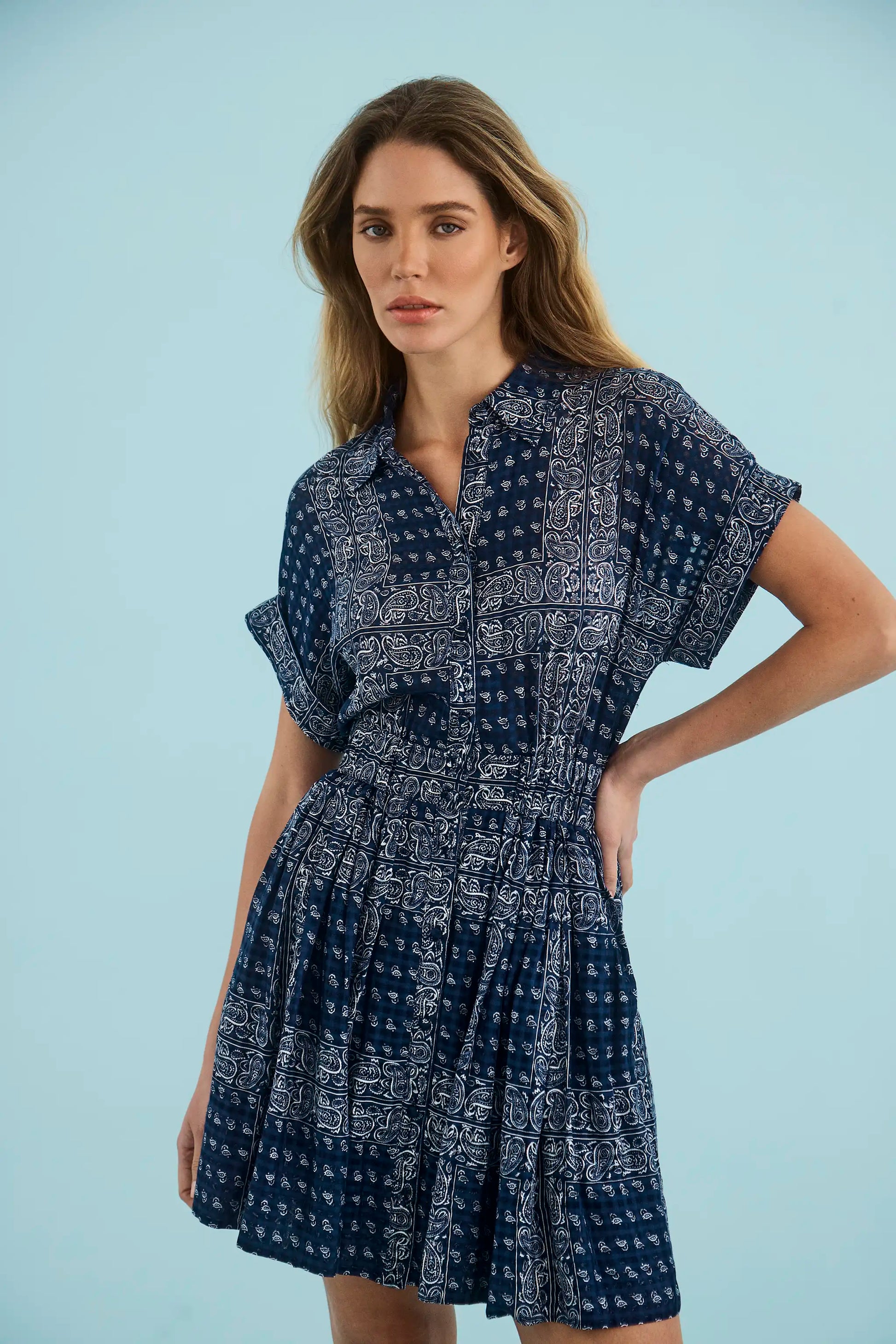 The Howard Dress in Inkwell Paisley.