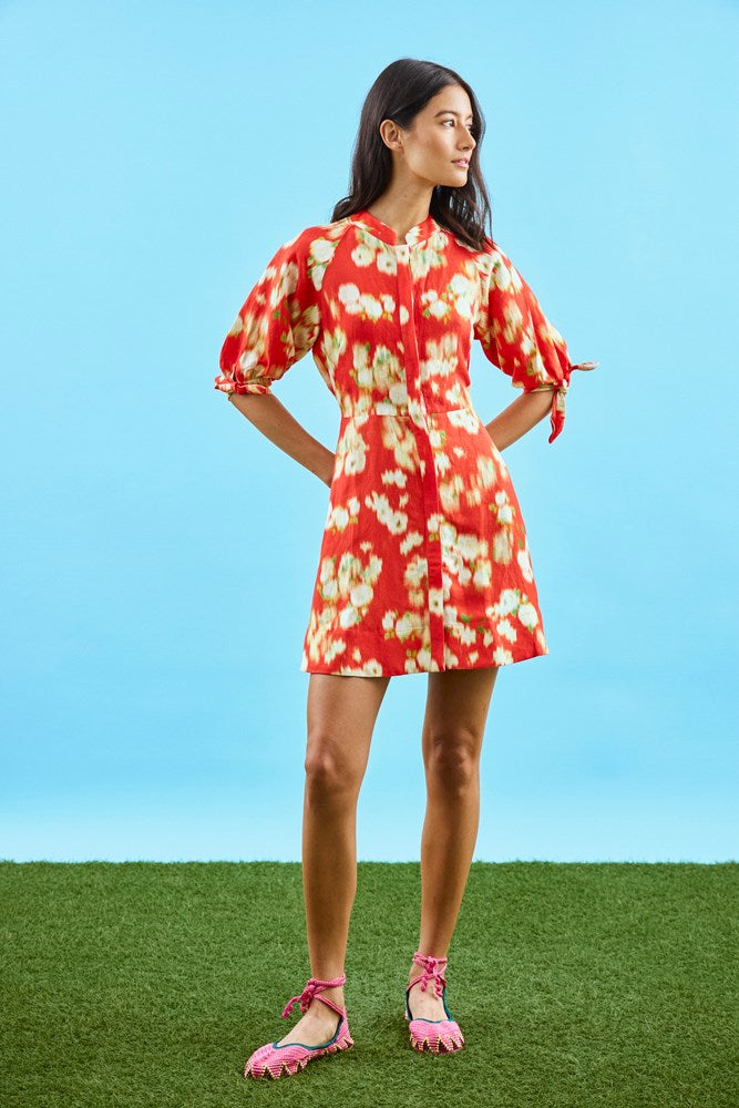 Molly Dress