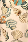Close up of the Nevis One Piece in Somers Shell Cream. 