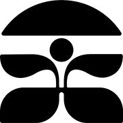 About us page